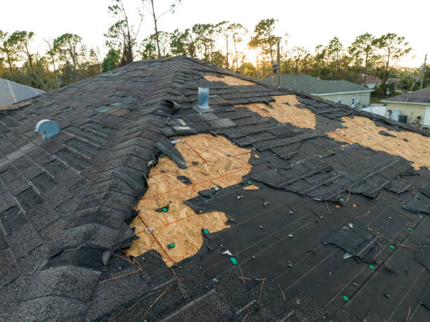 Best Roof Coating and Sealing  in Blairsville, PA